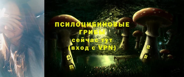 гашик Богданович