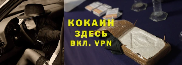 гашик Богданович