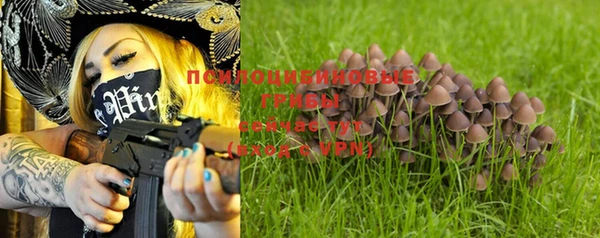 a pvp Богородск