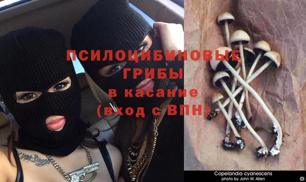 дурь Белоозёрский