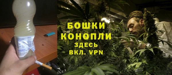 гашик Богданович